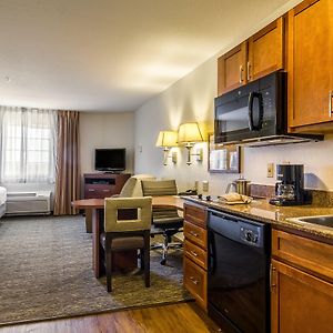 Studio Suite Two Double Beds